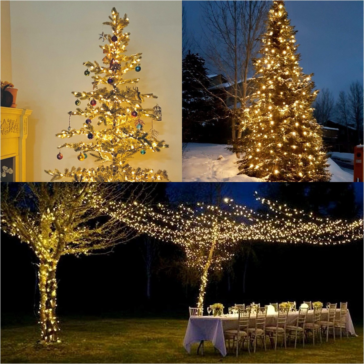 Lebih banyak LED kawat hijau t - Lighting Decor And More ulasan dan harga